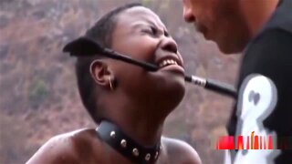 African Bitches In Bondage Are About To Get Nailed Hard